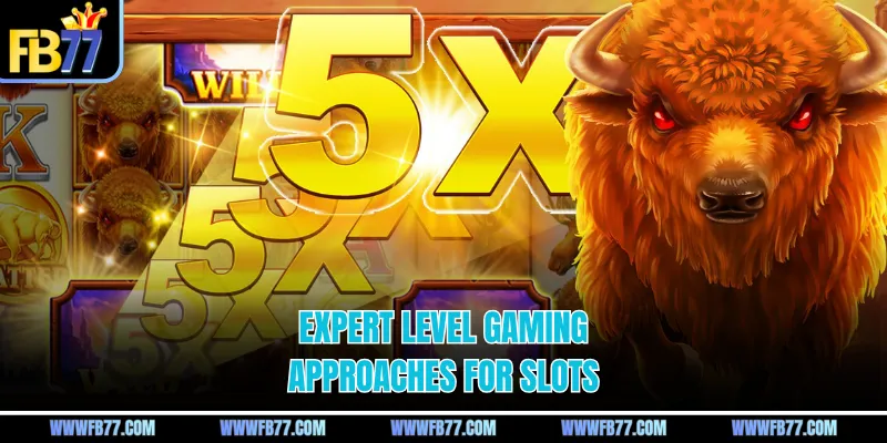 Expert level gaming approaches for slots
