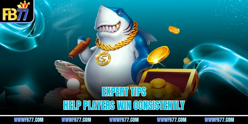 Expert tips help players win consistently