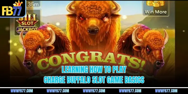 Learning how to play charge buffalo slot game basics